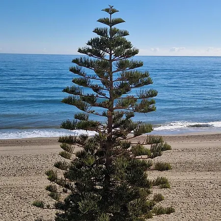 Apartmán Atico Frente Al Mar, Un 